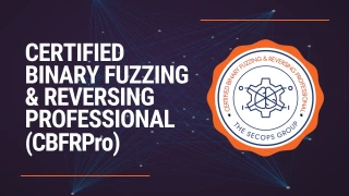 Certified Binary Fuzzing & Reversing Professional